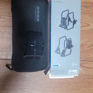 Gopro11