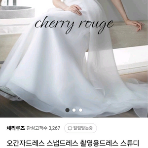 (셀프웨딩스냅)대여x구매o 오간자드레스 웨딩드레스