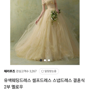 (셀프웨딩스냅)대여x구매o 유색드레스 웨딩드레스