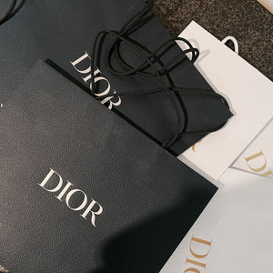 명품 쇼핑백 모음(디올,샤넬,루이비통 등)