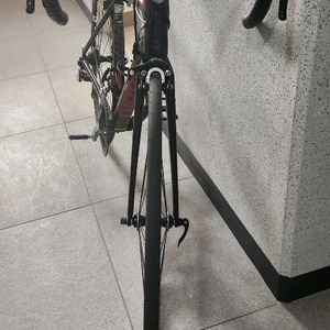 자이언트tcr slr2 16년