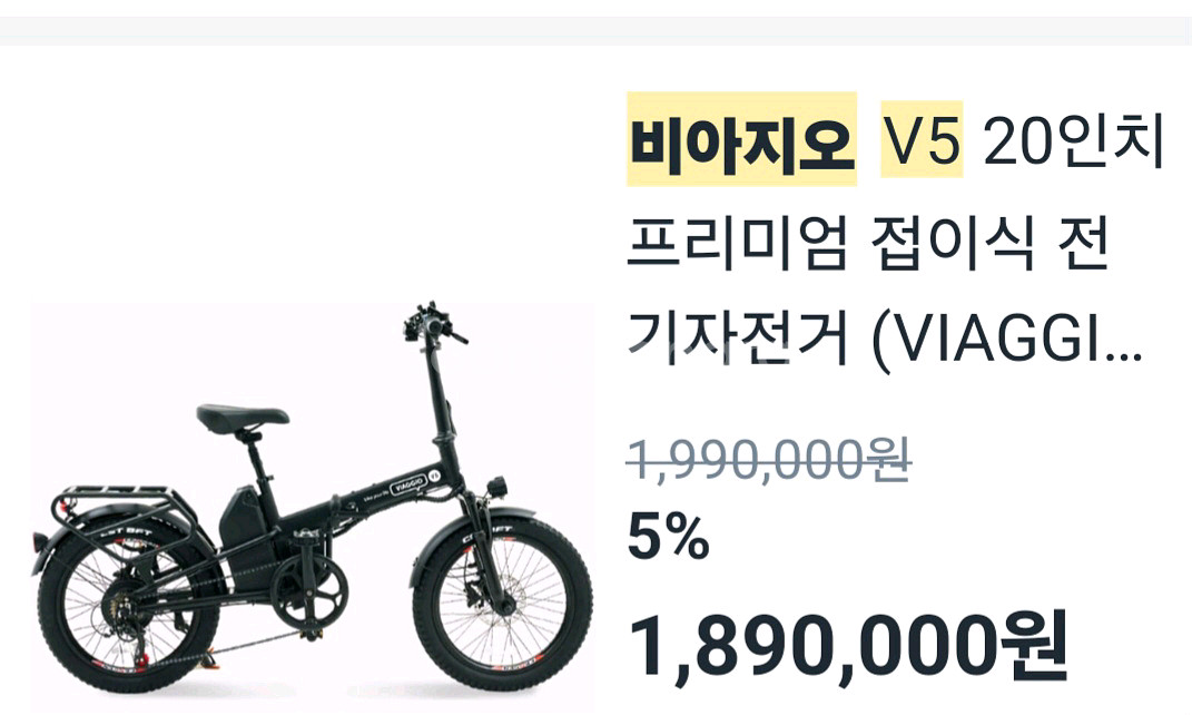 비아지오 V5 전기자전거--0
