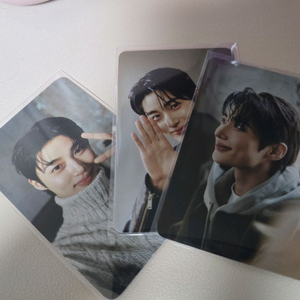 변우석 지오다노 포카