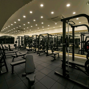 무제한PT 12개월 + 헬스장 이용권양도권+체형분석권