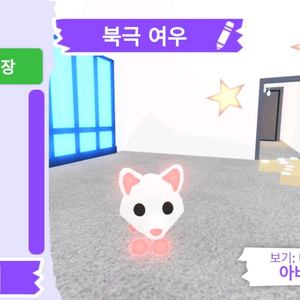 입양하세요 펫 메가네온 북극 여우(북여) 판매합니다