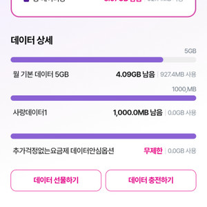 lg u+ 데이터2기가