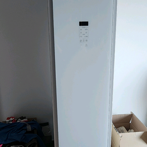 삼성 비스포크 에어드레서 DF60T8300WR