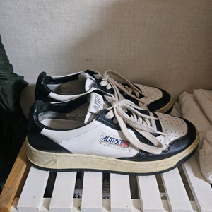 오트리 메달리스트 범고래