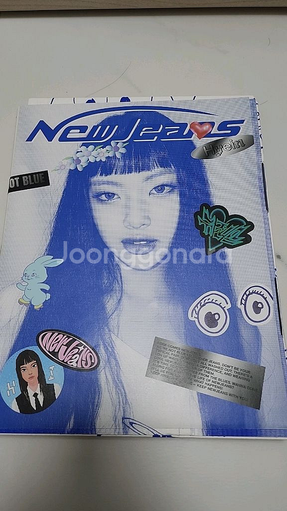 뉴진스 혜인 블루북--0