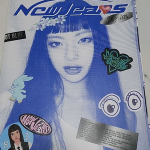 뉴진스 혜인 블루북