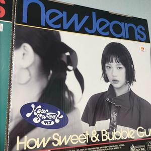 뉴진스 하우스윗 하니