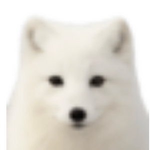 펨코 잉여력 팝니다
