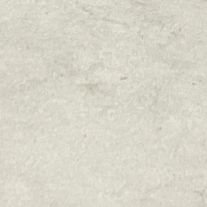 햄스터분양받아요
