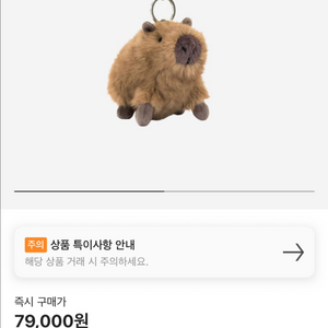 젤리캣 카피바라 키링