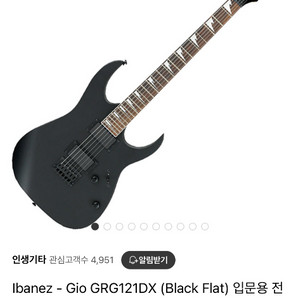 ibanez 일렉기타 입문용