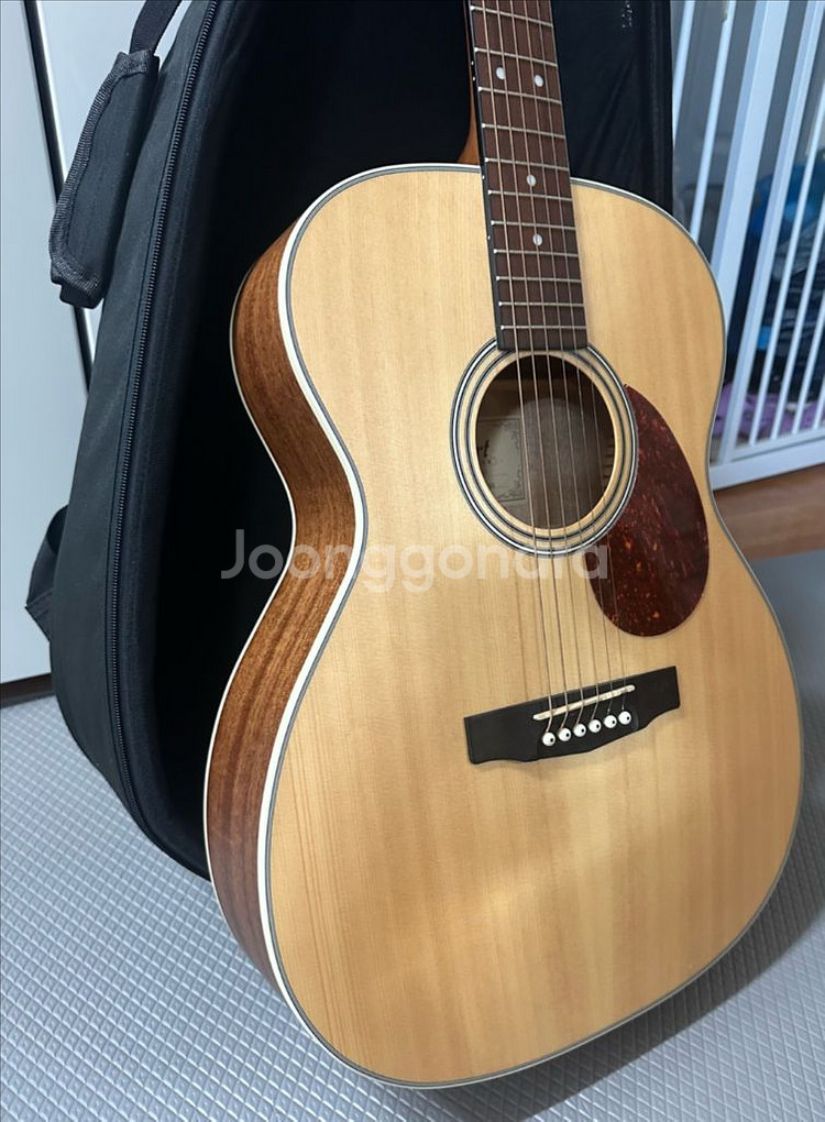 콜트(Cort) L100-O--0