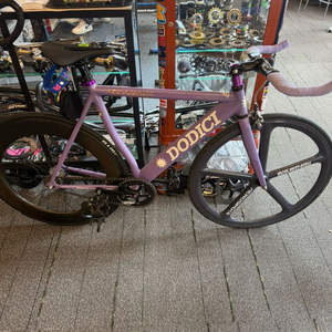 도디치 픽시 판매합니다!!