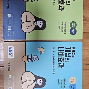 윤혜정 개념의 나비효과