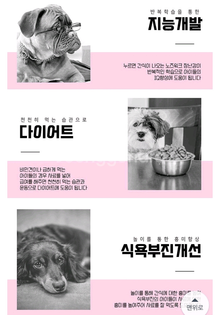 강아지 푸쉬 간식통--4