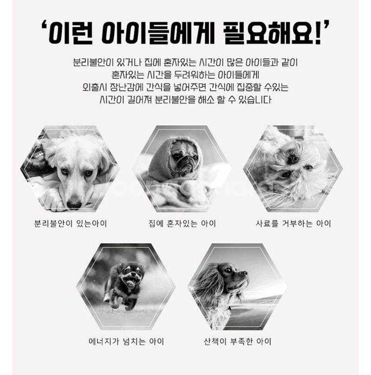 강아지 푸쉬 간식통--3