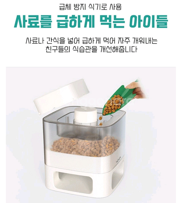 강아지 푸쉬 간식통--5