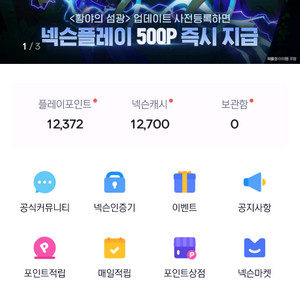 넥슨플레이포인트 24700원