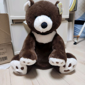 귀여운 곰돌이 인형 특별한 날 선물