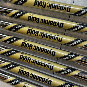 다이나믹골드 투어이슈 x100