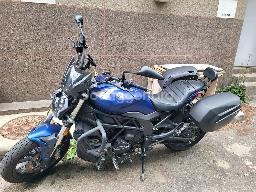 베넬리 502c--1