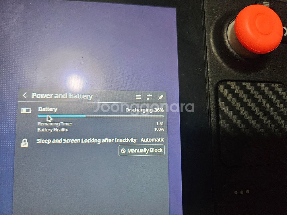 스팀덱 lcd 1T(64g교체)--3