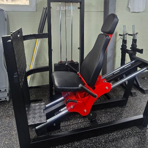 시티드 레그프레스