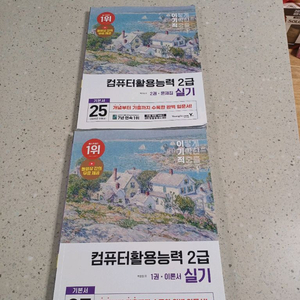 이기적 컴퓨터활용능력 2급 실기 2권