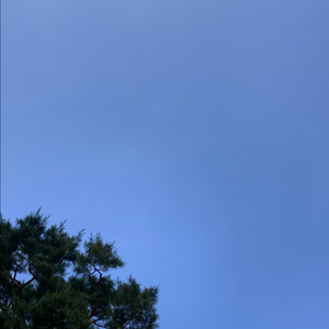 롯데시네마 영화 예매