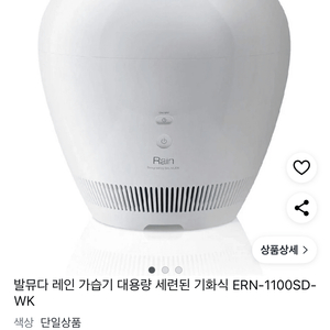 발뮤다 대용량 가습기