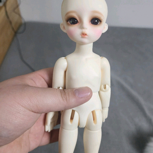 구체관절인형
