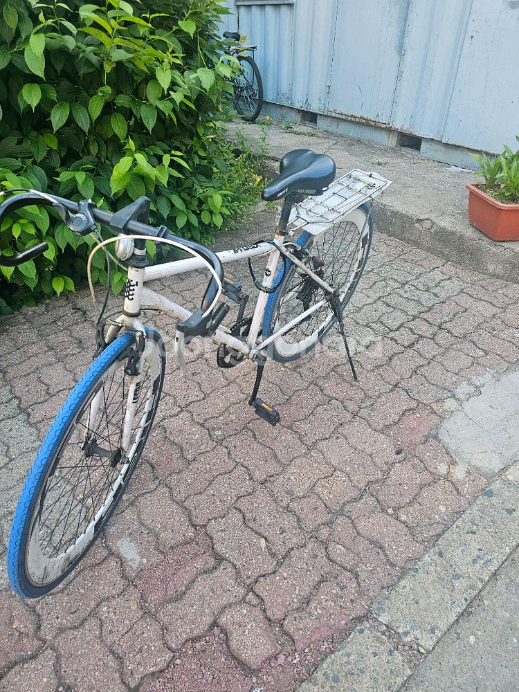 로드자전거--0