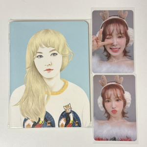 레드벨벳 웬디 포카 굿즈