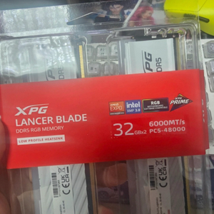 Adata ddr5 CL30 6000 32기가 2개