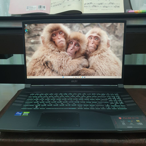 17인치 MSI 펄스 GL76 고성능 게이밍 노트북