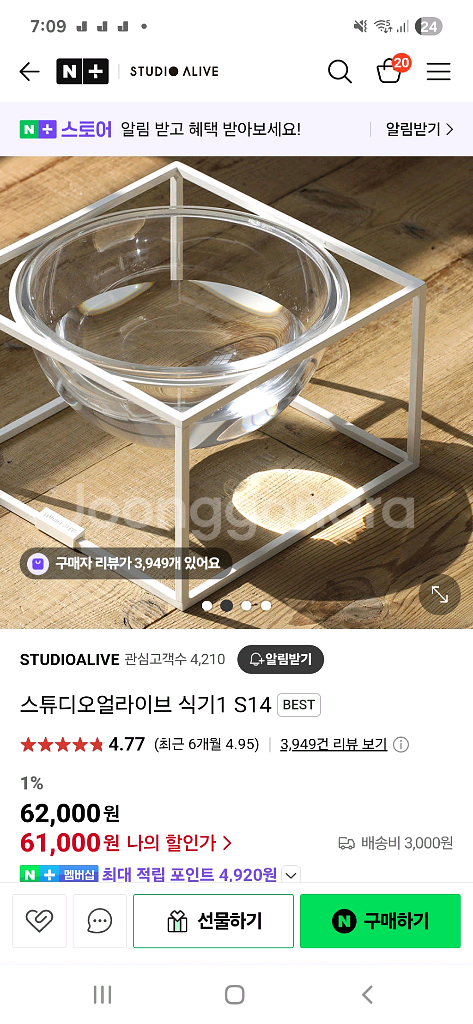 애견식기 스튜디오얼라이브 강아지--1