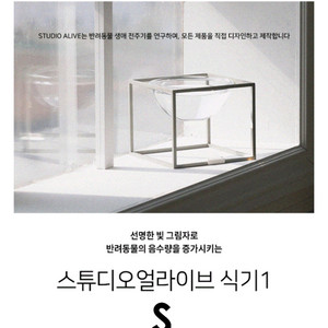 애견식기 스튜디오얼라이브 강아지