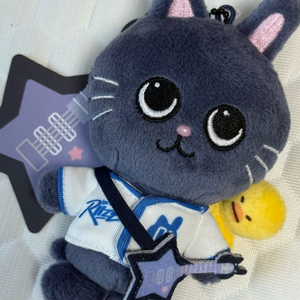 라이즈 리라즈 인형 10cm 원빈 토냥덕 양도