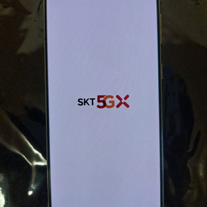 갤럭시s21+ 256GB 팬텀실버 무잔상