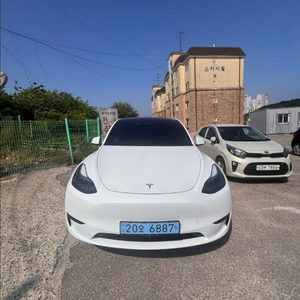 테슬라 모델y rwd(24년식)