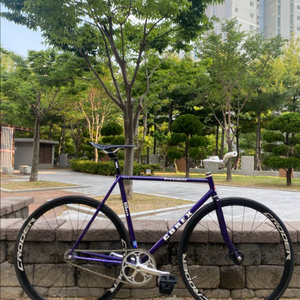 코렉스 프레지던트 픽시