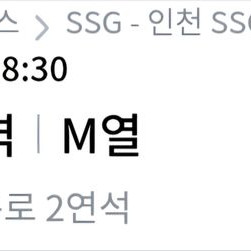 6/4일 SSG vs 삼성 스카이 뷰석 2연석