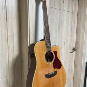 B-Band T35 기타