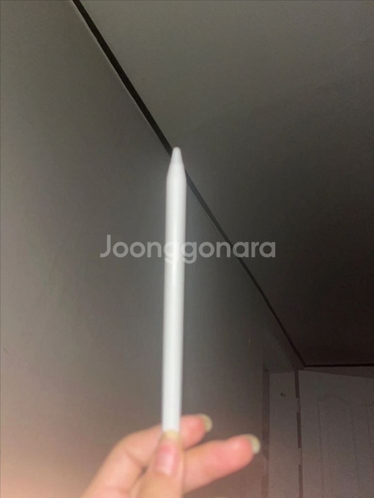 애플펜슬 2세대--0