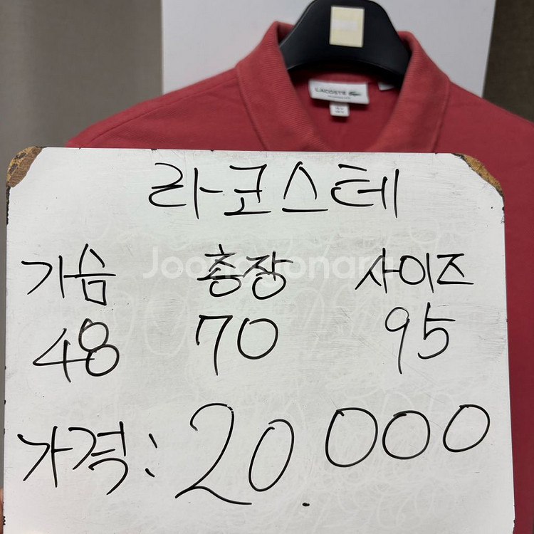 라코스테 반팔 카라티 95--1