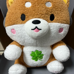 네잎클로버 시바견 대형 인형 팝니당
